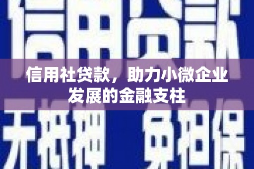 湖西信用社贷款，助力小微企业发展的金融支柱