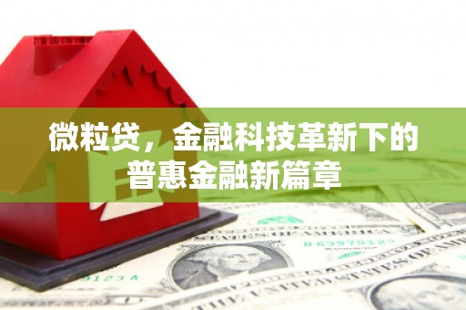 湖西微粒贷，金融科技革新下的普惠金融新篇章