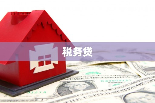 湖西税务贷