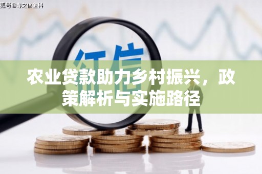 湖西农业贷款助力乡村振兴，政策解析与实施路径