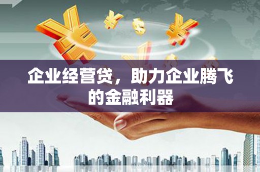 湖西企业经营贷，助力企业腾飞的金融利器