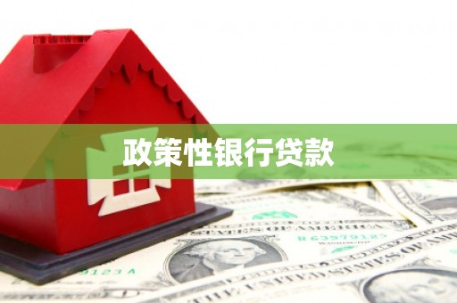 湖西政策性银行贷款