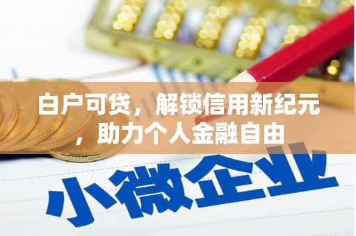 湖西白户可贷，解锁信用新纪元，助力个人金融自由