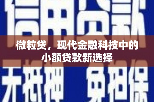 湖西微粒贷，现代金融科技中的小额贷款新选择