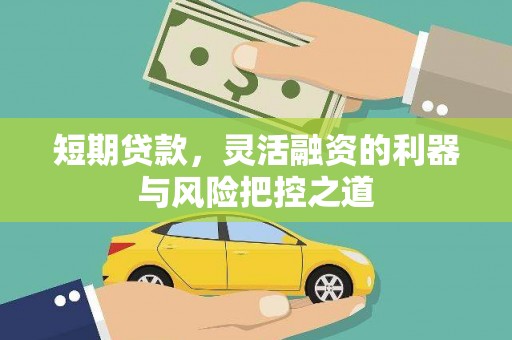 湖西短期贷款，灵活融资的利器与风险把控之道