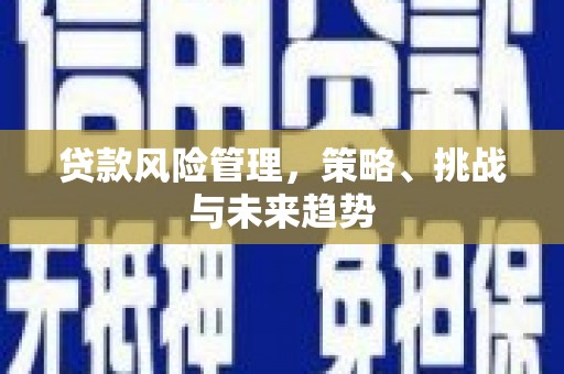 湖西贷款风险管理，策略、挑战与未来趋势