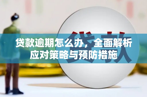 湖西贷款逾期怎么办，全面解析应对策略与预防措施