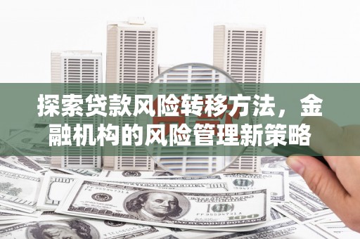 湖西探索贷款风险转移方法，金融机构的风险管理新策略