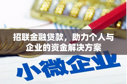 湖西招联金融贷款，助力个人与企业的资金解决方案