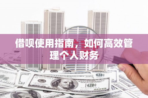 湖西借呗使用指南，如何高效管理个人财务