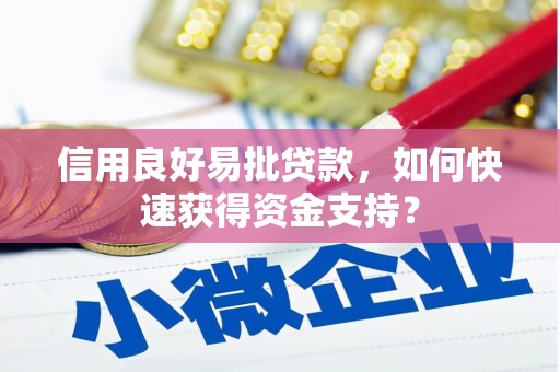 湖西信用良好易批贷款，如何快速获得资金支持？