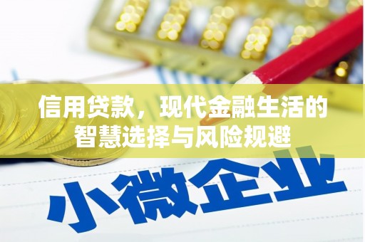 湖西信用贷款，现代金融生活的智慧选择与风险规避