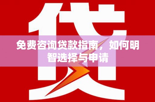 湖西免费咨询贷款指南，如何明智选择与申请
