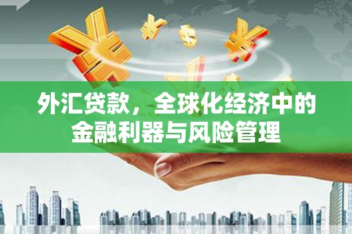 湖西外汇贷款，全球化经济中的金融利器与风险管理
