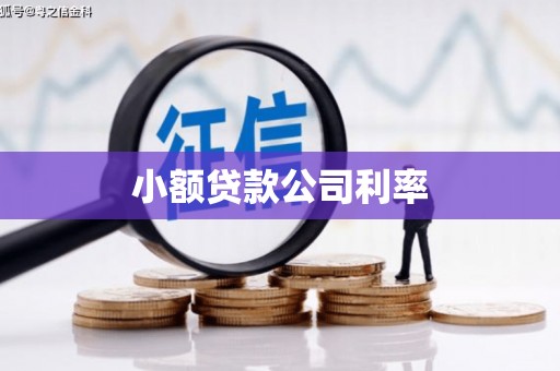 湖西小额贷款公司利率