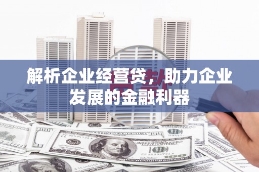 湖西解析企业经营贷，助力企业发展的金融利器