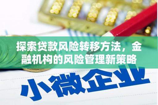 湖西探索贷款风险转移方法，金融机构的风险管理新策略
