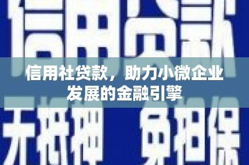 湖西信用社贷款，助力小微企业发展的金融引擎