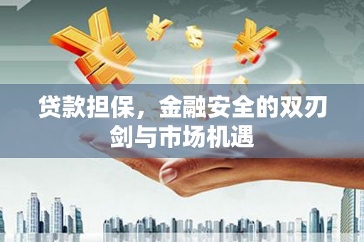 湖西贷款担保，金融安全的双刃剑与市场机遇