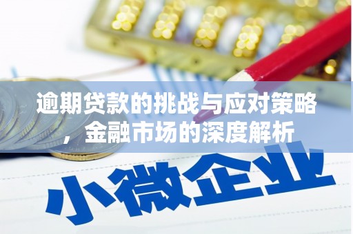 湖西逾期贷款的挑战与应对策略，金融市场的深度解析
