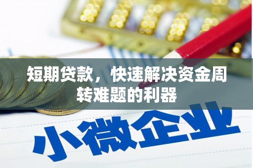 湖西短期贷款，快速解决资金周转难题的利器