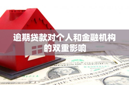 湖西逾期贷款对个人和金融机构的双重影响