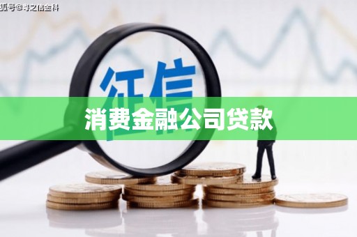 湖西消费金融公司贷款