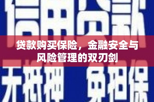 湖西贷款购买保险，金融安全与风险管理的双刃剑