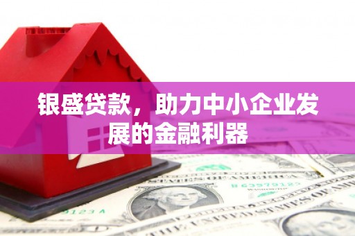湖西银盛贷款，助力中小企业发展的金融利器
