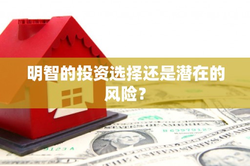 湖西明智的投资选择还是潜在的风险？
