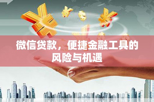 湖西微信贷款，便捷金融工具的风险与机遇