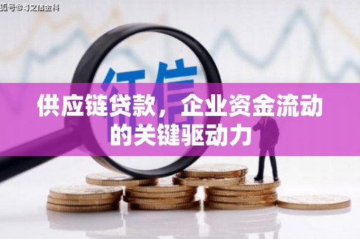 湖西供应链贷款，企业资金流动的关键驱动力