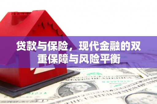 湖西贷款与保险，现代金融的双重保障与风险平衡