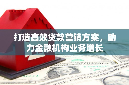 湖西打造高效贷款营销方案，助力金融机构业务增长