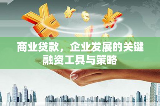 湖西商业贷款，企业发展的关键融资工具与策略