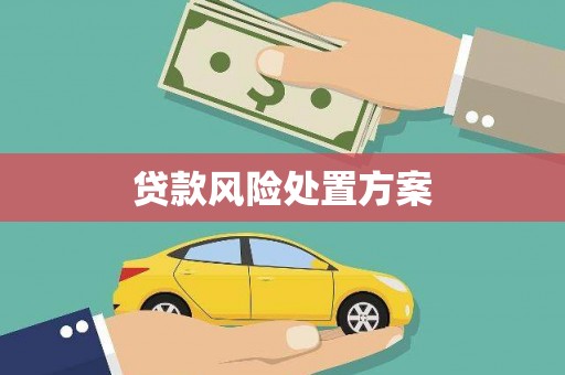 湖西贷款风险处置方案