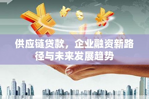 湖西供应链贷款，企业融资新路径与未来发展趋势
