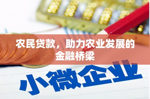 湖西农民贷款，助力农业发展的金融桥梁