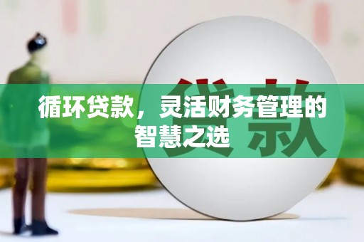 湖西循环贷款，灵活财务管理的智慧之选