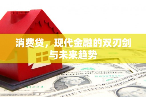 湖西消费贷，现代金融的双刃剑与未来趋势