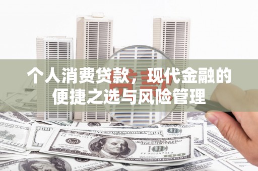 湖西个人消费贷款，现代金融的便捷之选与风险管理