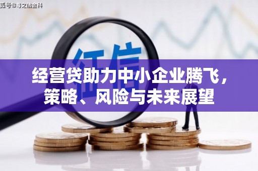 湖西经营贷助力中小企业腾飞，策略、风险与未来展望