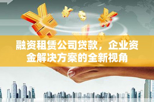 湖西融资租赁公司贷款，企业资金解决方案的全新视角