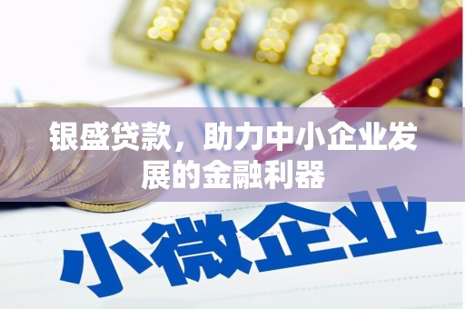 湖西银盛贷款，助力中小企业发展的金融利器