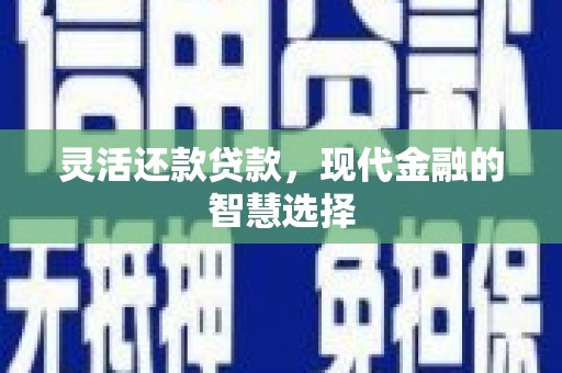 湖西灵活还款贷款，现代金融的智慧选择