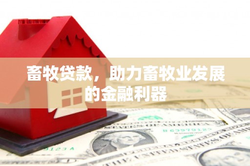 湖西畜牧贷款，助力畜牧业发展的金融利器