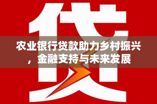 湖西农业银行贷款助力乡村振兴，金融支持与未来发展