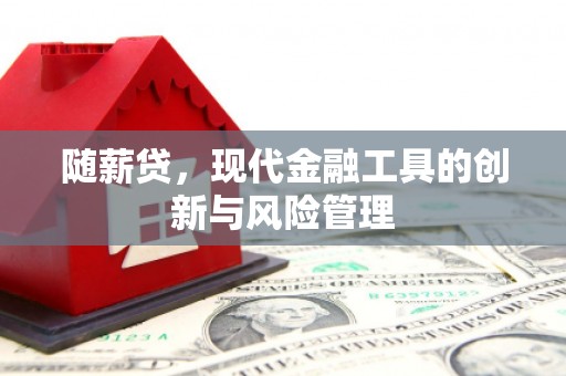 湖西随薪贷，现代金融工具的创新与风险管理