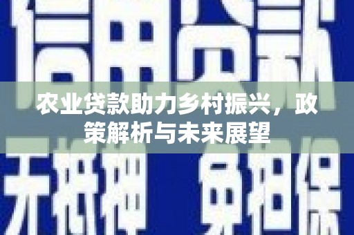 湖西农业贷款助力乡村振兴，政策解析与未来展望