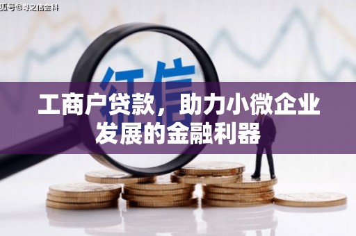 湖西工商户贷款，助力小微企业发展的金融利器